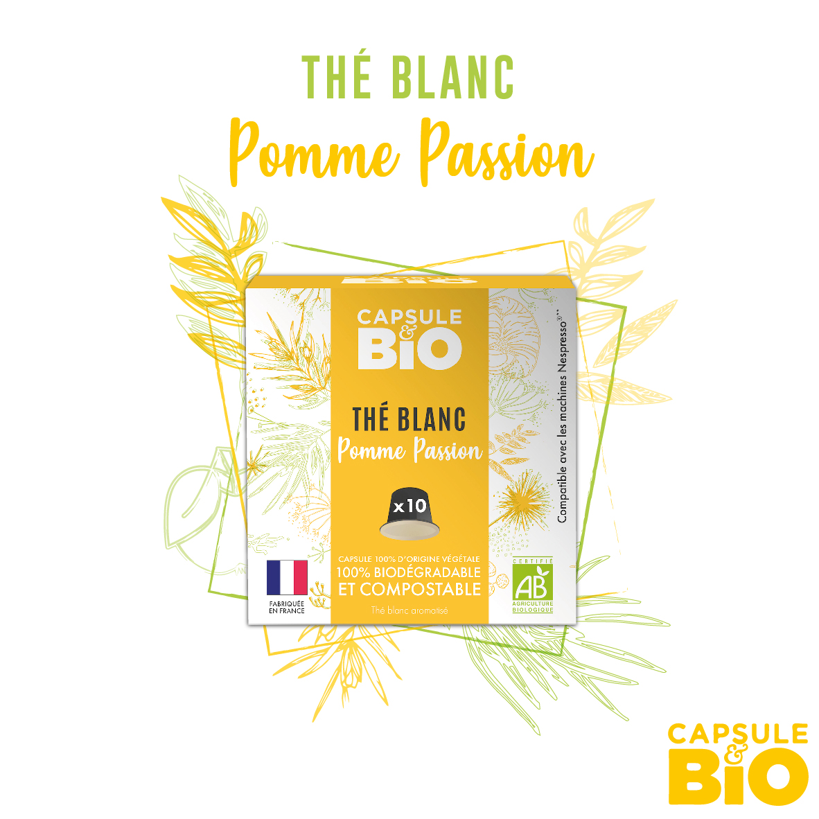 capsule biodégradable compatible nespresso thé blanc pomme passion