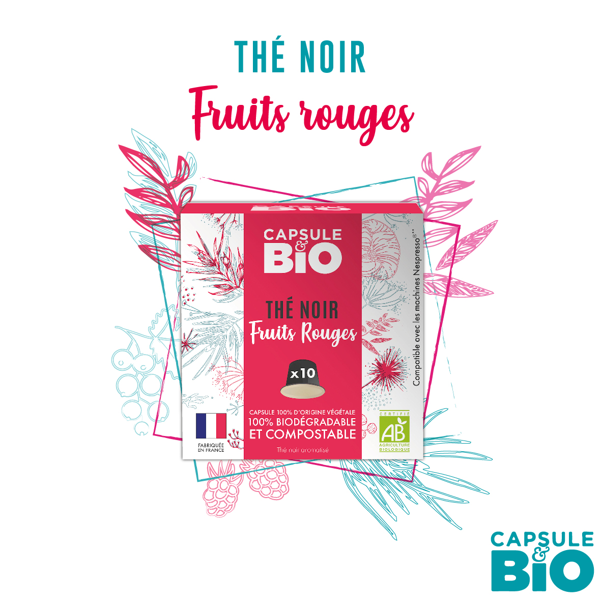 capsule thé noir fruits rouges bio compatible nespresso fabriquée en France