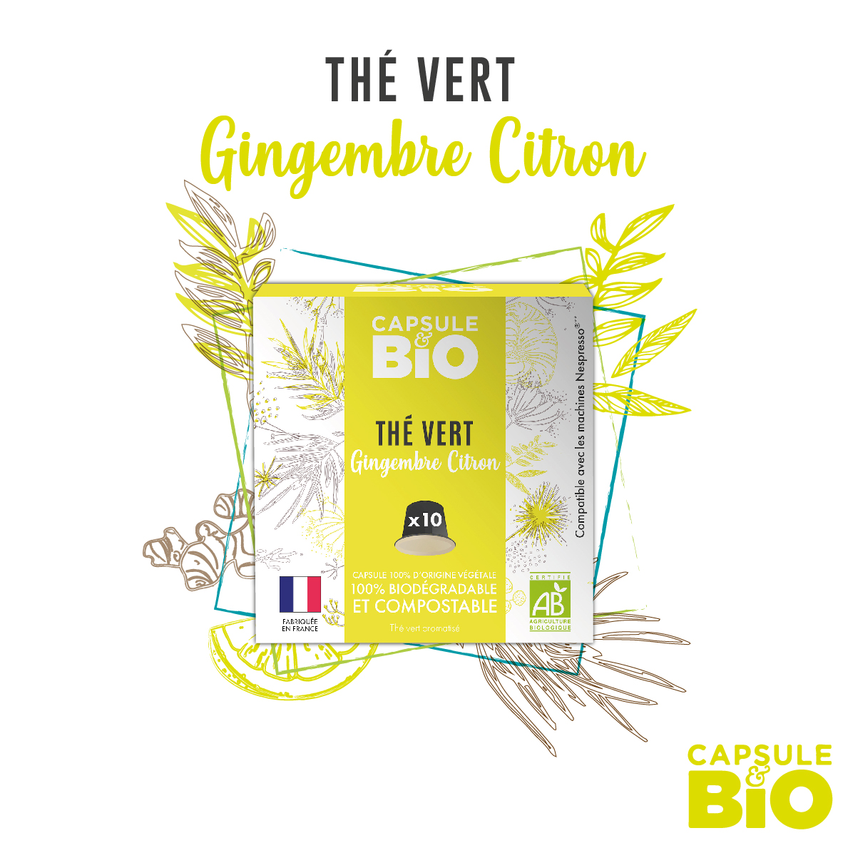 capsule biodégradable thé vert citron gingembre bio compatible nespresso