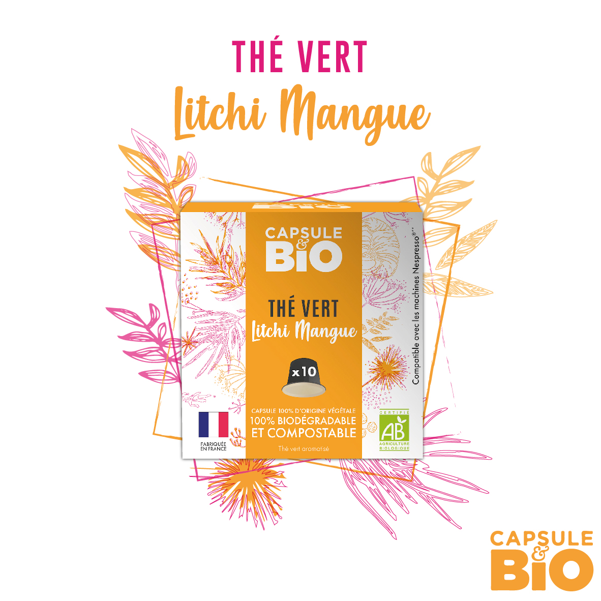 capsule thé vert litchi mangue bio diodégradable et compostable