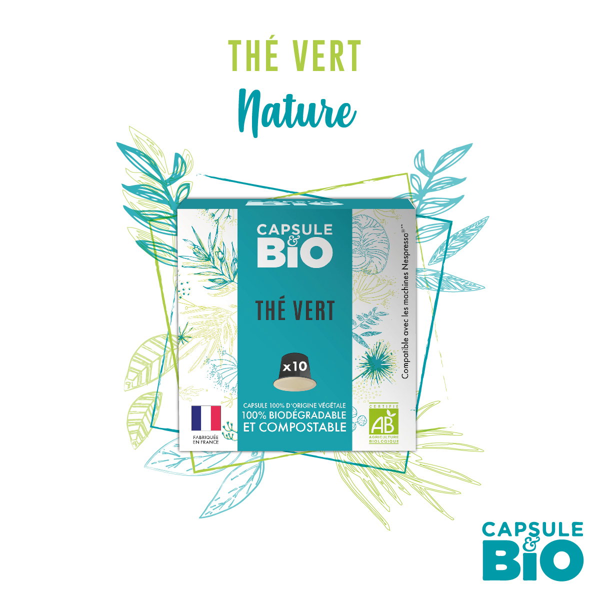 capsules thé vert bio nature