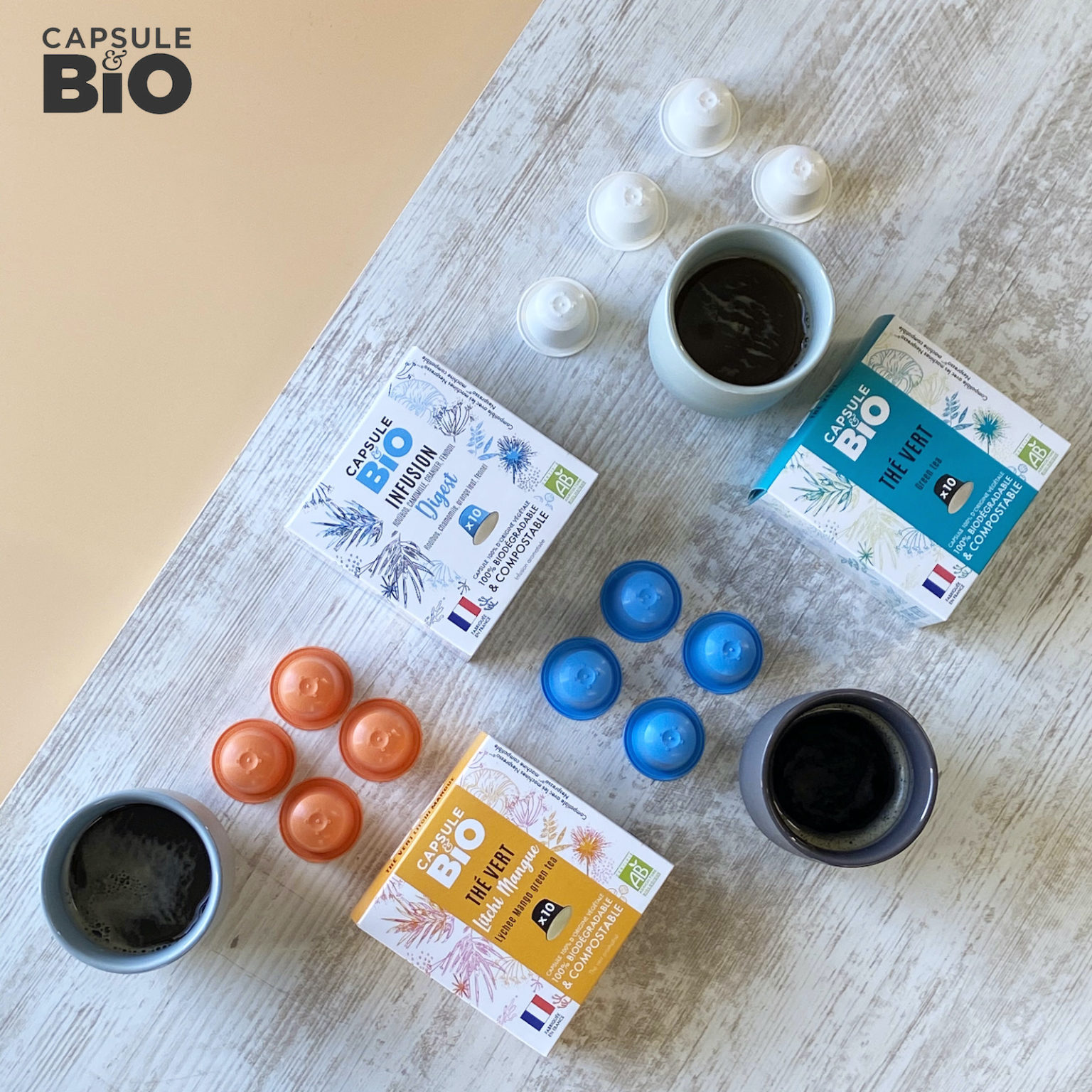 sélection Capsulebio Ranger l'Hiver capsules thé vert