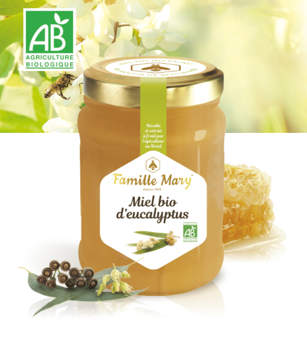 Miel d'eucalyptus bio Famille Mary - sélection Capsulebio