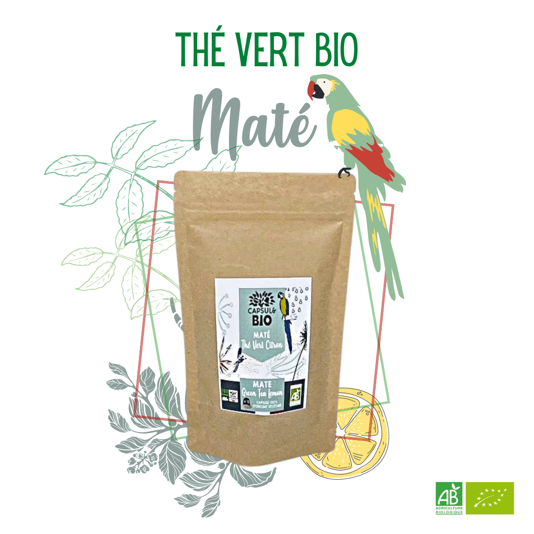 Thés bio en sachets vrac – Sélection et import direct plantation