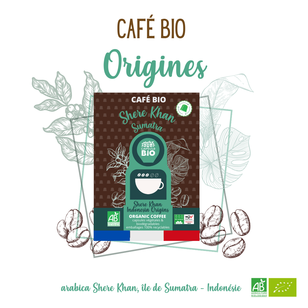 Capsule café bio Origines, compatible Nespresso® - Capsul&bio