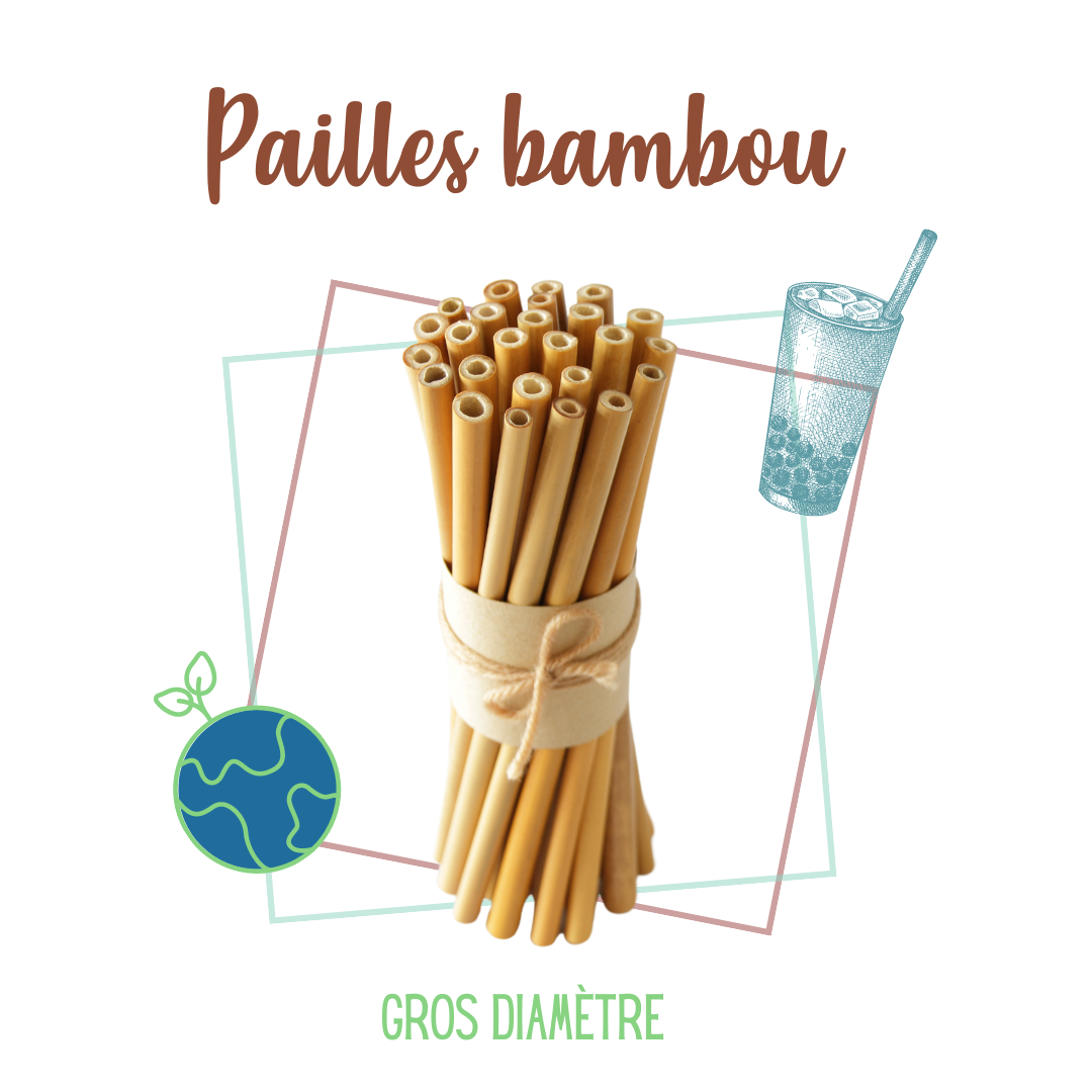 Pailles réutilisables et à usage unique (bambou, roseau et riz) -  Directecogreen