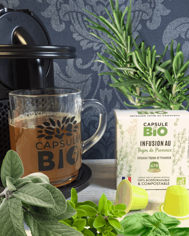 capsulebio_thym de Provence bio_et herbes du balcon, remède naturel hiver, boisson chaude santé, soulager la gorge naturellement, respirer librement, plante médicinale bio