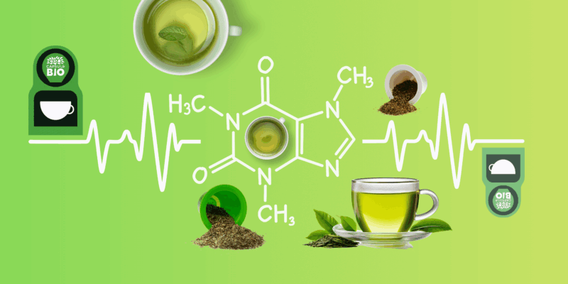 Teneur en caféïne en tasse de thé vert préparée en capsule Capsul&bio avec une machine à café